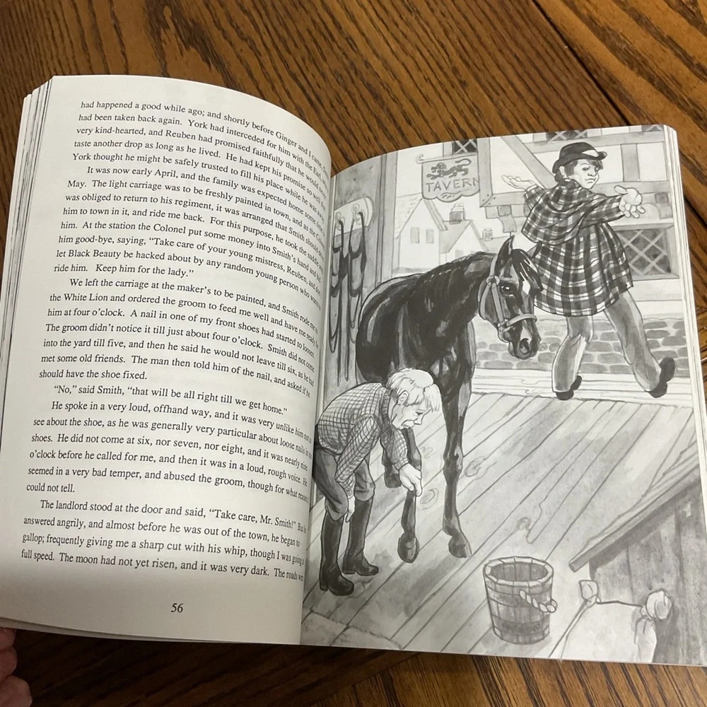 Classic Book Collection: Robin hood, Tom Sawyer, Black Beauty, Wizard of Oz